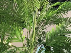 -卡朋西餐(悦汇城店)