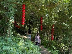 -超山青莲寺