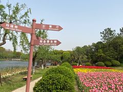 -上海鲜花港