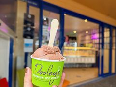 -Dooley's Premium Ice Cream
