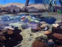 郑州海洋馆-郑州海洋馆