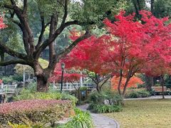-申粤轩酒楼·三十年粤菜经典(丁香花园店)