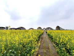 -中国天府农业博览园