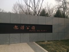 -迎泽公园