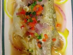 -好孕妈妈月嫂(重庆总店)