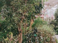 -南宫五洲植物乐园