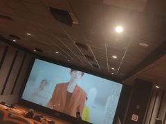 -华美国际影城(旧宫永辉店)