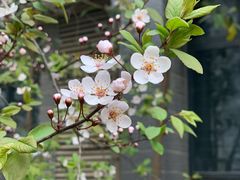 -河南牧业经济学院(龙子湖校区)