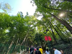 -灵岩山风景区