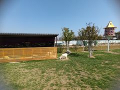 -嘉兴清池酒店温泉