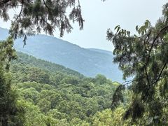 -香山公园
