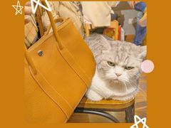 -如果·追梦手工皮具DIY教学店(田子坊店)