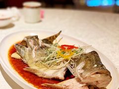 清蒸桂鱼-恰恰餐厅(硕和生活广场店)