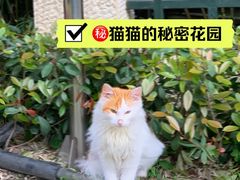 -复旦大学附属华山医院(总院)