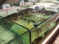 -味茂·老船夫1927(东海东路店)