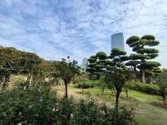 -南宁南湖公园