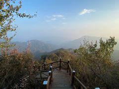 -大岭沟猕猴桃谷风景区