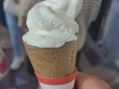 -富豪雪糕车流动点(尖沙咀店)
