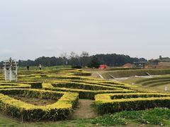 -空港花田景区