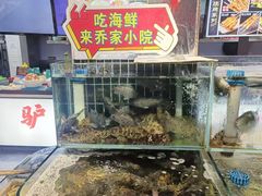 -乔家小院•非遗驴肉•青岛菜(滨河路店)