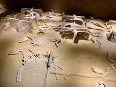 -洛阳周王城天子驾六博物馆