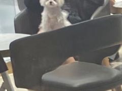 -哈根达斯(青岛海信店)