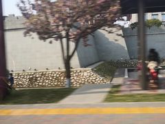-唐城墙遗址公园