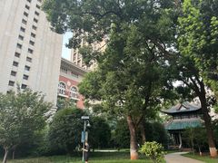 -长沙市青少年宫