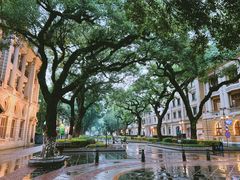 -星巴克臻选(广州沙面店)