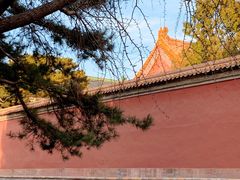 -济南喜来登酒店-采悦轩中餐厅