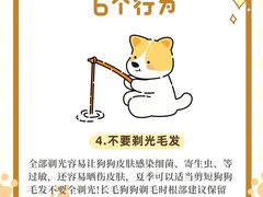 -莘程宠物医院(金山店)