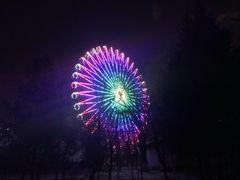-青城公园