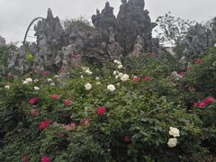 -人民公园(罗湖区)