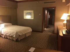 -新加坡瑞士史丹福酒店