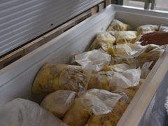 -都念榴莲·城市榴莲