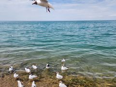-青海湖二郎剑景区