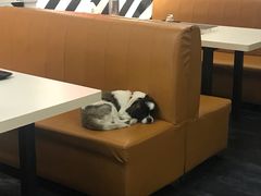 -火焰枪蛋·烧烤(奉天街店)