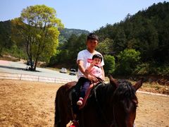 -木兰云雾山