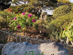 -西湖外事游船(花港观鱼码头)