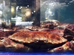 -盒马鲜生(悦峰店)