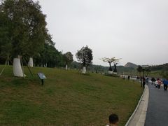 -东莞植物园