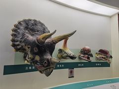 -安徽省地质博物馆