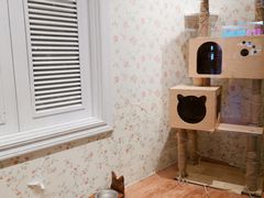 -猫小院猫主题餐厅(三里屯店)