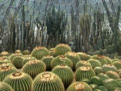 -深圳仙湖植物园