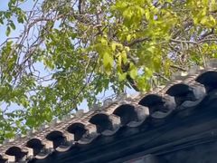 -北京清河万象汇