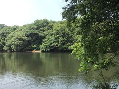 -杭州半山国家森林公园