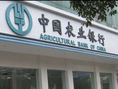 -中国农业银行(上海江苏路支行)
