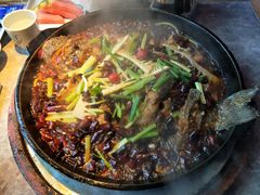 -老板恋上鱼(恒隆广场店)