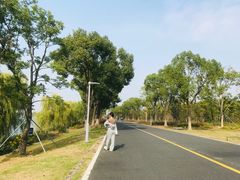 -漕湖湿地公园