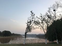-东湖落雁景区